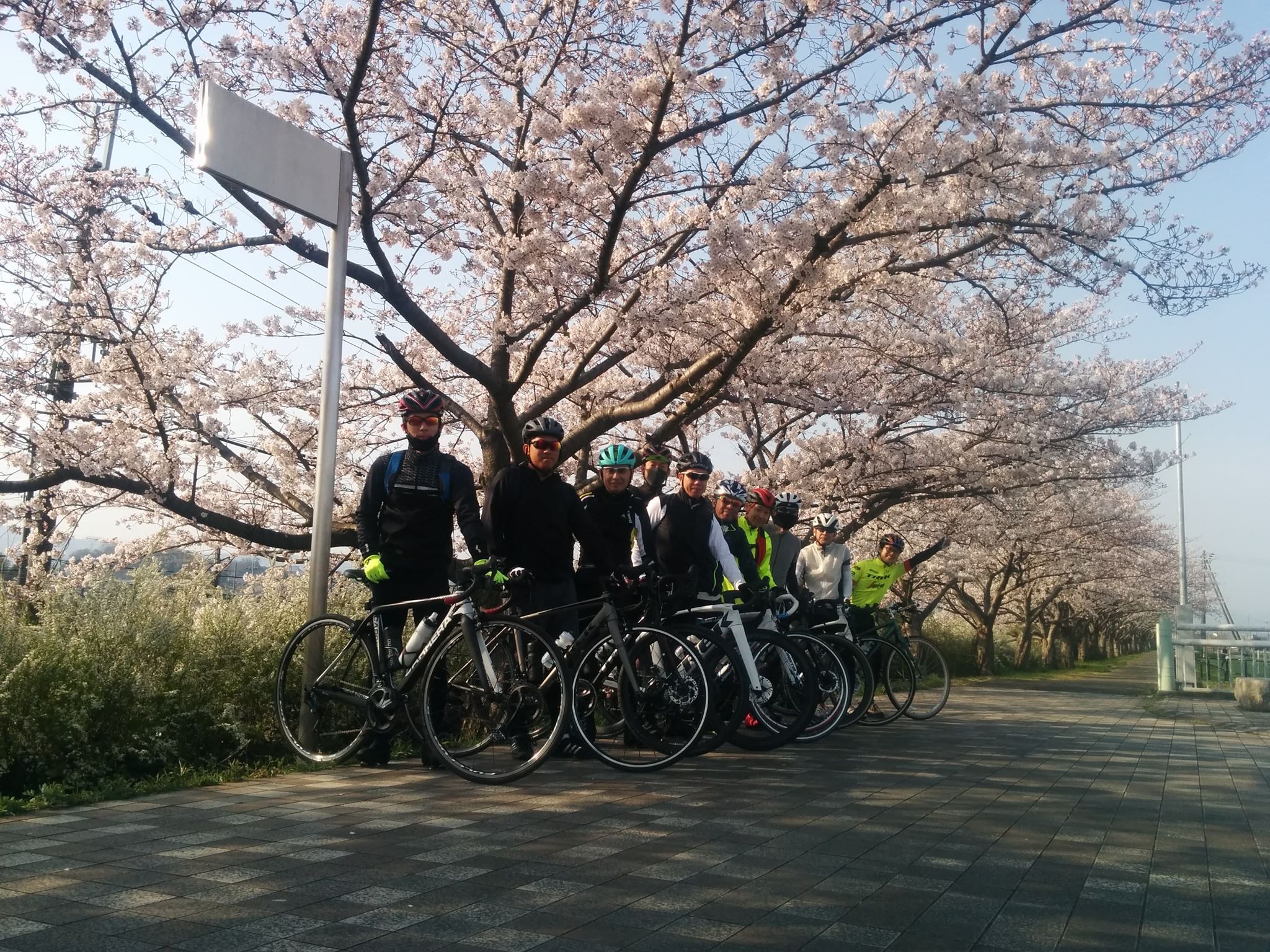 スポーツバイクのメリットとは