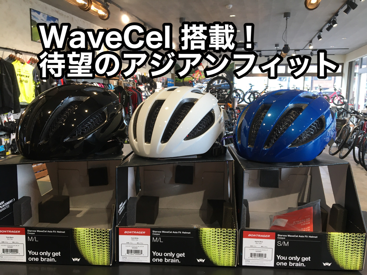 Starvos WaveCel Asia Fit が登場！！　待望のアジアンフィットで価格もリーズナブルに