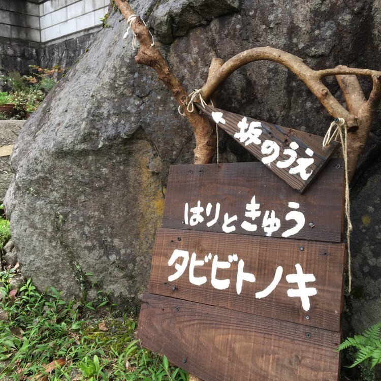 大会スポンサー様ご紹介！その⑥　”はりときゅうタビビトノキ” 様